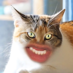 Yed-Roo-Hee's Avatar'
