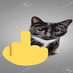 NeoTyphoon_'s Avatar'