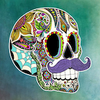 Sir-Reptile's Avatar'