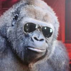 TiRaJ_'s Avatar'