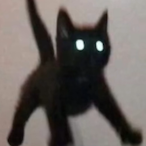 Clover.TS's Avatar'