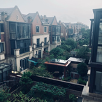 kevinliu1234's Avatar'