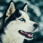 RETRX.'s Avatar'
