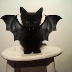 Villatika's Avatar'