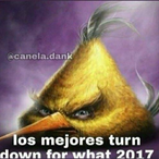 qjo-'s Avatar'