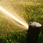 TheSprinklers.-'s Avatar'