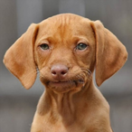 XxAarchangeLxX's Avatar