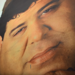 porstik