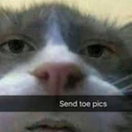 Eater0fBox's Avatar'