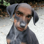 CorHill's Avatar'