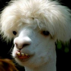 IvanLePaysan's Avatar'