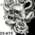 DS-NTK_Djam's Avatar'