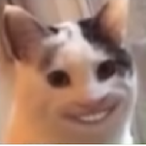 Nagysushhh's Avatar'