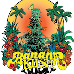 MrHighBanana420's Avatar'