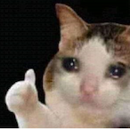 Himalaya_Dragon's Avatar'