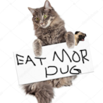 eatmorepug's Avatar'