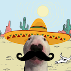 Mexican.Walter's Avatar'