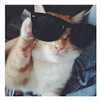 Meatsome-_-'s Avatar'