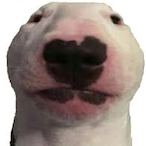 Echo_Steel's Avatar'