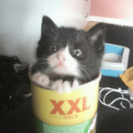 Eadgeez_Momos's Avatar'