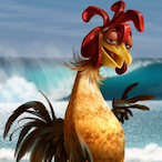 GnarlyChicken13's Avatar'