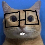 isuckatcomedy's Avatar'