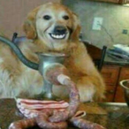 tezzatucker's Avatar