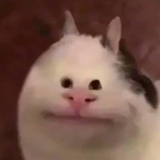 YameteKudasaiaa's Avatar'