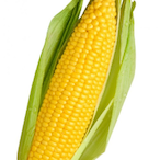 Bobthefarmer1's Avatar'