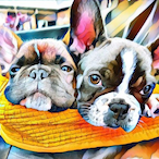 MurfasaurusRex's Avatar