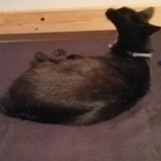 Bananas1000's Avatar