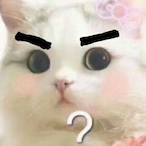 goodman_ECT's Avatar'