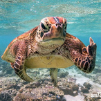 lIlIIIIIllll123's Avatar'