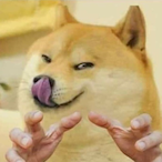 GaeTaeSick's Avatar'