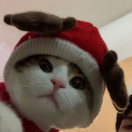 remegxnz's Avatar'