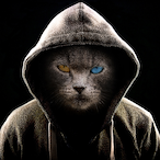 SaVeGe_Alice's Avatar'