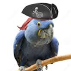 Blue__Parrot's Avatar'