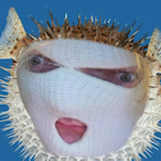 DiddySoft69's Avatar'