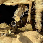 Beastie_Boy_1's Avatar