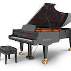 Bosendorfer_290's Avatar'