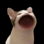 Katze.HD's Avatar'