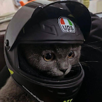 Caiji1's Avatar'