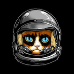 Catnaut's Avatar