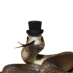 SirDangerNood1e's Avatar'