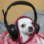 WilleMedDraken1's Avatar'