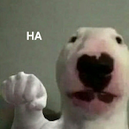 ReinMarshal's Avatar'