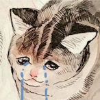 Jaidenisok's Avatar'