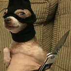 Verchai's Avatar'