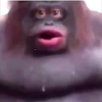 ElvarGaming's Avatar'