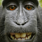 derbi_1's Avatar'